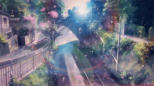 Anime Cherry Blossom GIF - Anime Cherry Blossom Street GIFs