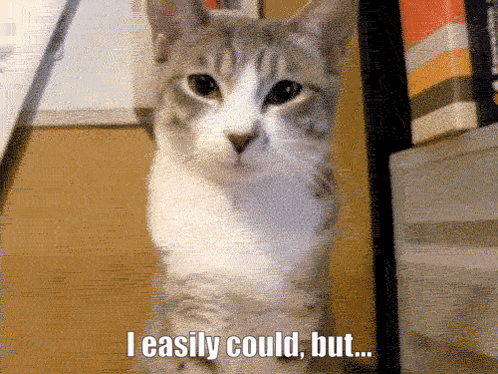 I Ealisy Could Disgust GIF - I Ealisy Could Disgust Cat GIFs
