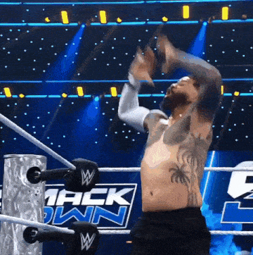 a shirtless wrestler in a wrestling ring with the word mack down on the wall