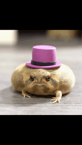 a frog is wearing a purple top hat .