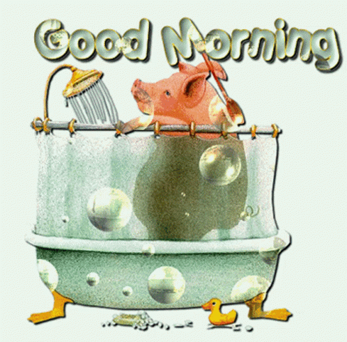 Good Morning Pig GIF - Good Morning Pig Bath GIFs