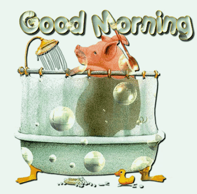 a pig is taking a bath in a bathtub and the words good morning are above it