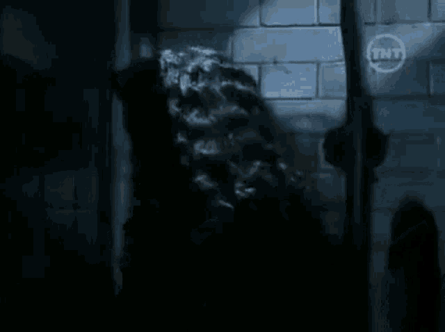 a woman with long curly hair is standing in a dark room next to a brick wall .