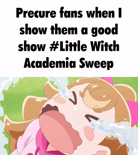 a picture of a girl crying with the caption precure fans when i show them a good show