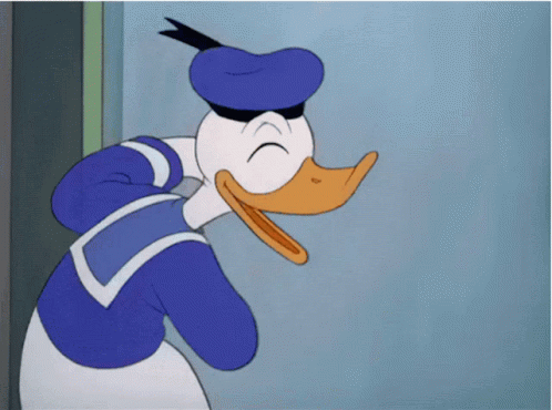 Donald Mdr GIF - Donald Mdr GIFs