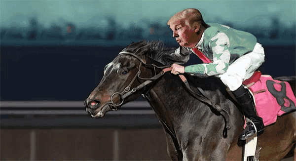 a man is riding a horse with a pink saddle that has the number 8 on it