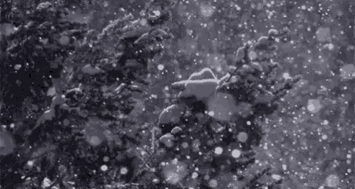 it is a black and white photo of snow falling on a tree .