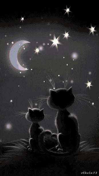 a drawing of two cats looking at the moon and stars by akela 73