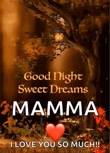 a good night sweet dreams mama i love you so much !