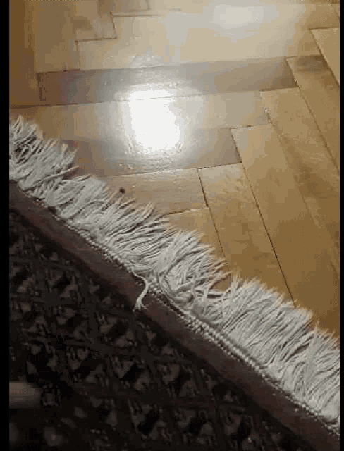 a rug is laying on a wooden floor with a white fringe