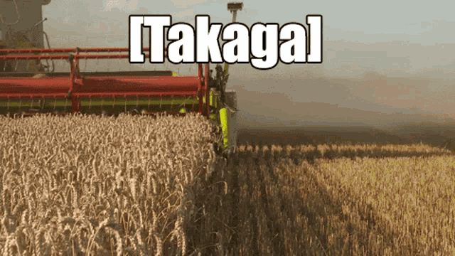 Osu Takaga GIF - Osu Takaga Wheat GIFs
