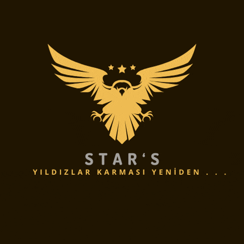 a logo for a company called star 's with a bird and stars