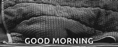 Good Morning Cats GIF - Good Morning Cats Greetings GIFs