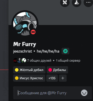 a screenshot of mr furry 's discord server