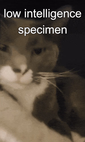 a picture of a cat with the words low intelligence specimen