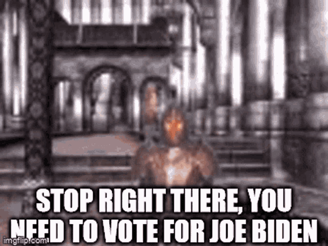Joe Biden Vote GIF