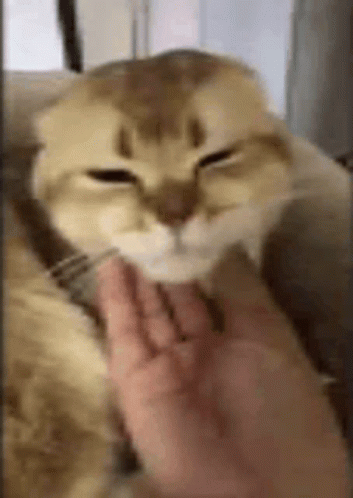 Cosquillas Tickle GIF - Cosquillas Tickle Chin Scritches GIFs