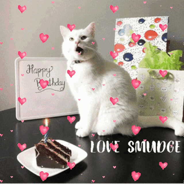 Happy Birthday Happy Birthday Love Smudge Cat GIF