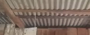 Roof Metal GIF - Roof Metal Recording GIFs