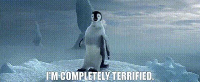 a penguin standing on top of a snow covered iceberg with the words i 'm completely terrified .