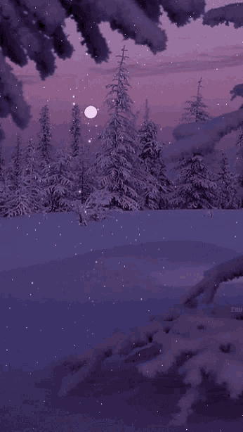 a snowy forest at night with a full moon in the background