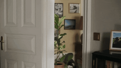 a white door is open to a living room with a plant