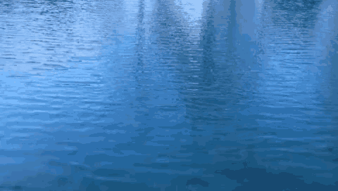 a close up of a body of water with a reflection of trees in it