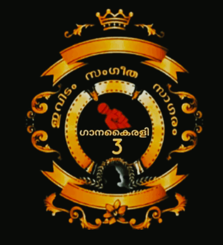 a gold and black emblem with the number 3 in the center