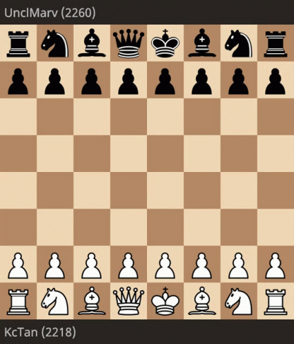 Chess Ajedrez GIF - Chess Ajedrez Scacchi GIFs