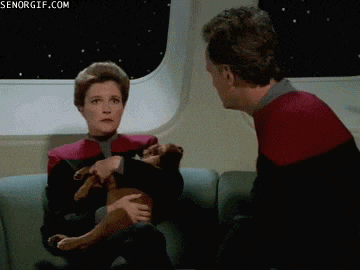 Star Trek GIF