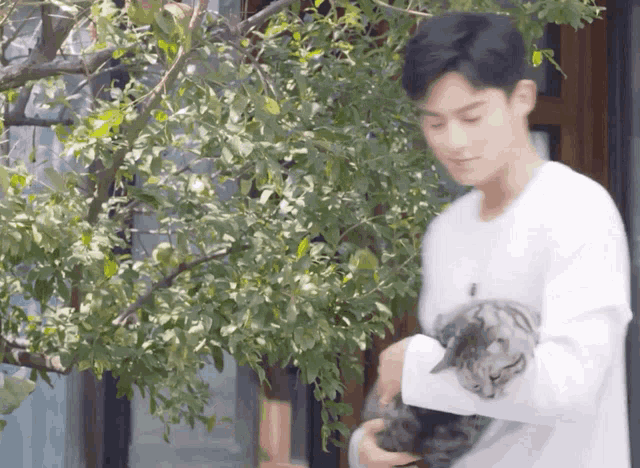 a man in a white shirt is holding a cat in his arms in front of a tree