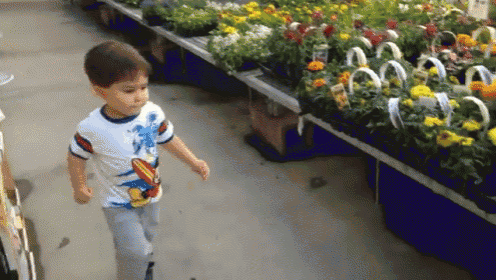 a young boy wearing a superman shirt is walking through a flower shop
