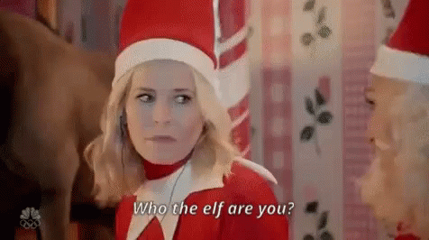 Who Are You GIF - Chelsea Handler Who The Elf Are You Who Are You GIFs