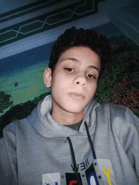 a young man wearing a grey hoodie with the word vea on it