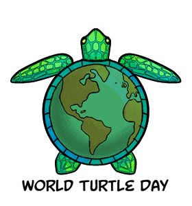 a green sea turtle with a globe in its shell and the words world turtle day on the bottom