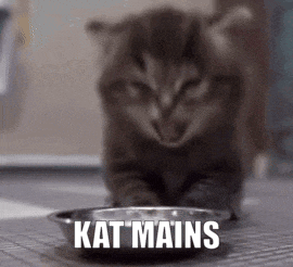 a kitten is eating out of a metal bowl with the words kat mains written on it .