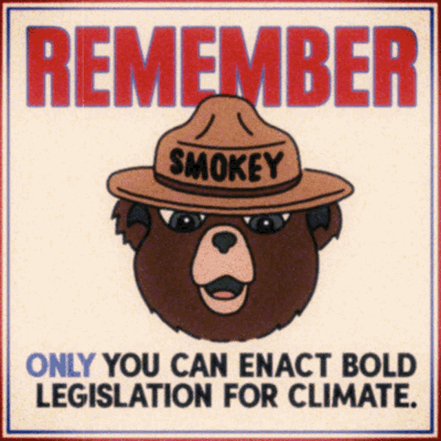 Remember Only You Can Enact Bold Legislation For Climate Smokey The Bear GIF - Remember Only You Can Enact Bold Legislation For Climate Enact Bold Legislation For Climate Smokey The Bear GIFs