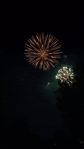 a fireworks display with trees in the background