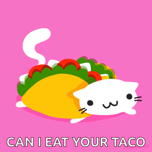 Taco Cat Cute GIF