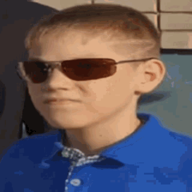 a young boy wearing sunglasses and a blue shirt looks at the camera .