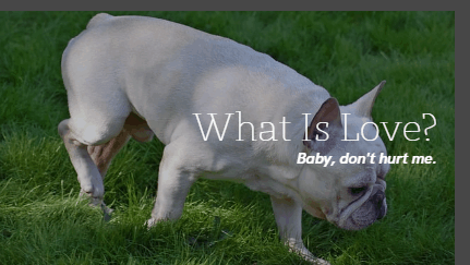 What Is Love GIF - What Is Love GIFs