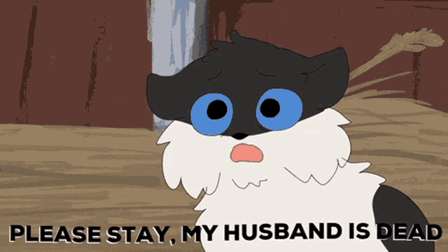 a black and white cat with blue eyes is asking to stay while his husband is dead