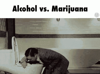 Alcohol Marijuana GIF - Alcohol Marijuana Weed GIFs