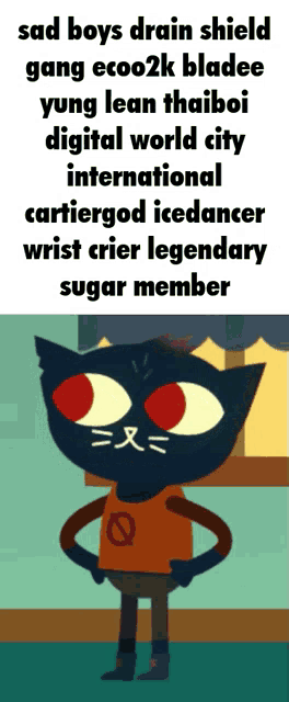 a picture of a cat with the words sad boys drain shield on it