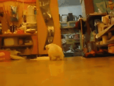 a blurred image of a person standing in a room