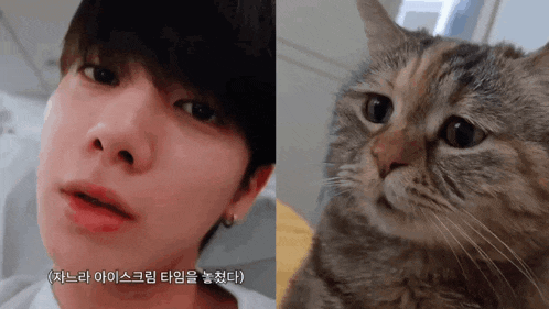 a close up of a person 's face next to a close up of a cat