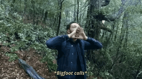 Buzzfeed Unsolved GIF - Buzzfeed Unsolved Bigfoot GIFs