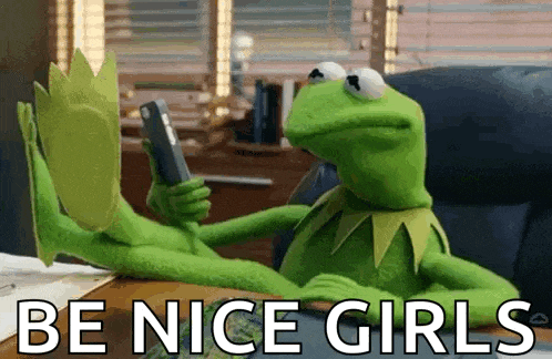 kermit the frog is sitting at a desk looking at a cell phone and saying be nice girls .