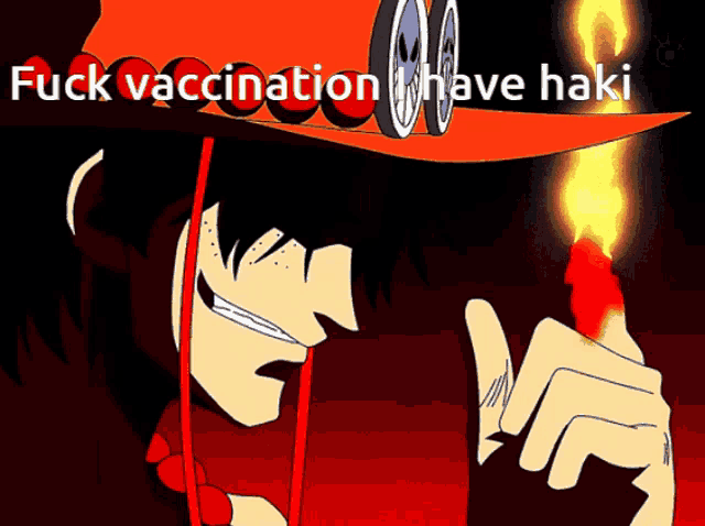 a cartoon character holding a torch with the words " fuck vaccination i have haki " on the bottom