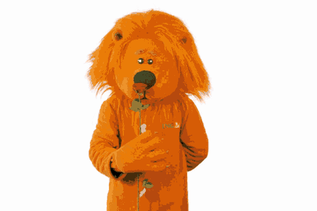 a lion mascot is holding a rose in his hand